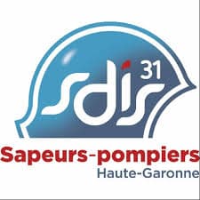 SDIS 31