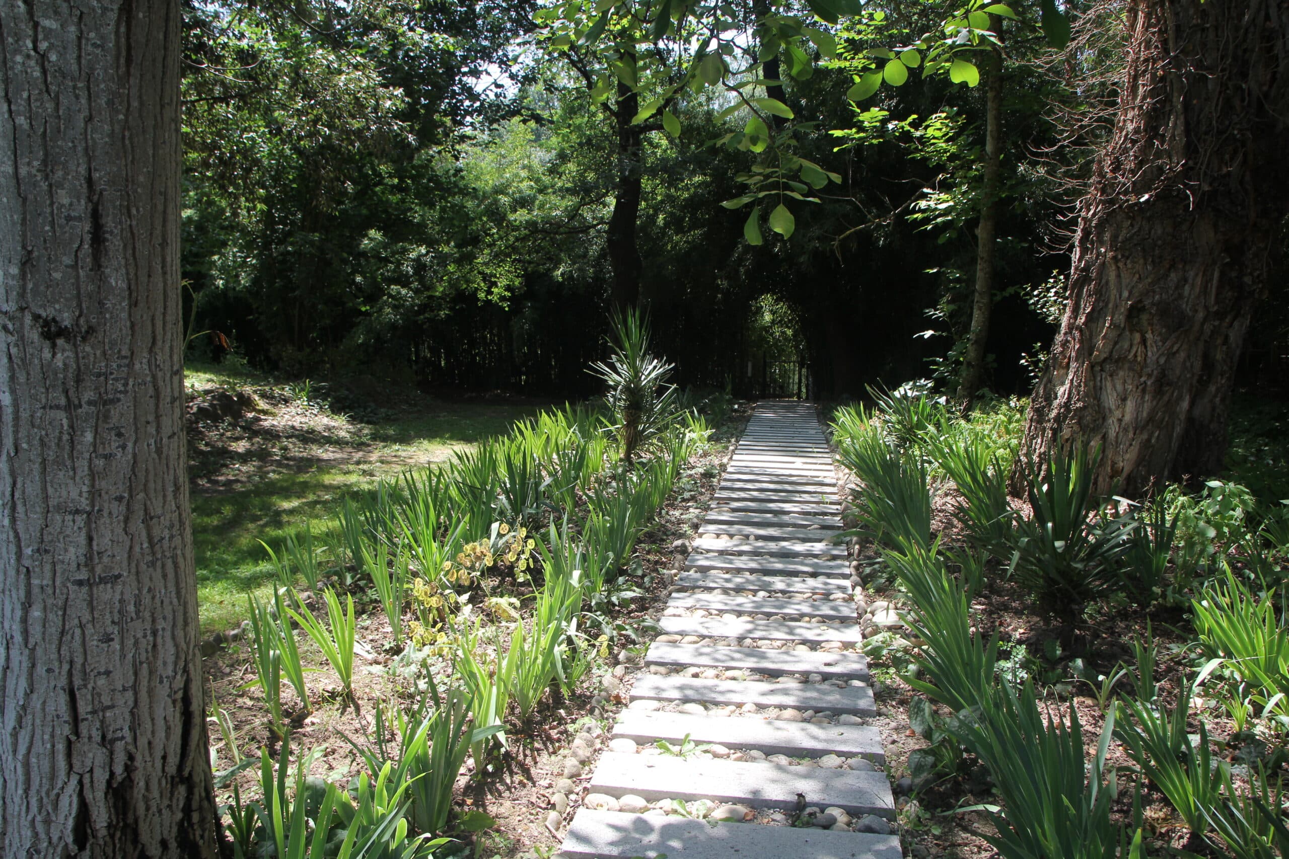 Chemin domaine