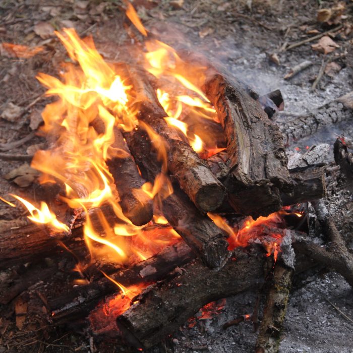 restauration-seminaires-feu-de-camp